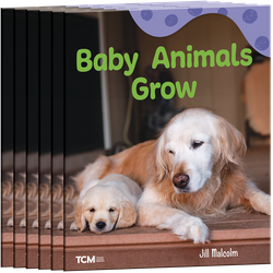 Baby Animals Grow 6-Pack