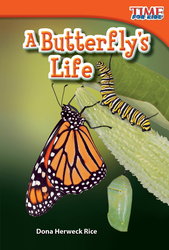 A Butterfly's Life ebook