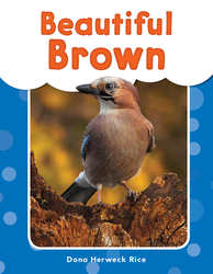 Beautiful Brown ebook