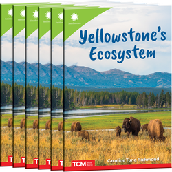 Yellowstone's Ecosystem 6-Pack