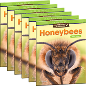 Amazing Animals: Honeybees: Place Value 6-Pack