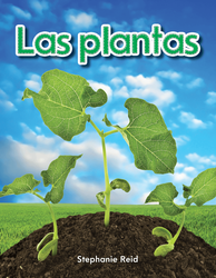 Las plantas