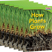 How Plants Grow 6-Pack