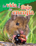 La vida y el flujo de energía