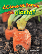 ¿Cómo se forma una planta?