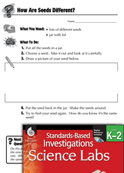 Quick Science Lab: How Are Seeds Different? Grades K-2