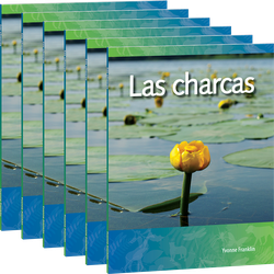 Las charcas 6-Pack