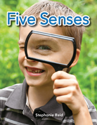 Five Senses