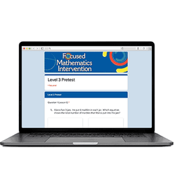 Focused Mathematics: Digital Add-on: Level 3